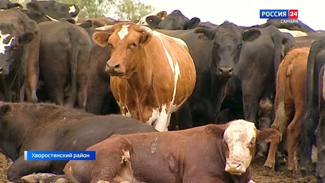 Программа Хлеб от 3 сентября 2022 года смотреть онлайн