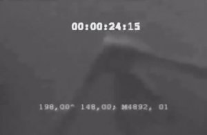 Нинген Заснятый Под Водой в Антарктике