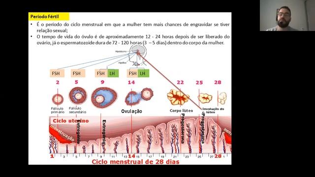 Sistema reprodutor feminino - Prof. Msc. Alyson Silvestre -8° ano e Eja IV смотреть онлайн