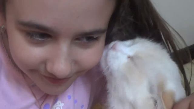 Массаж от Белки (Моей кошки) - Ольга Андреева смотреть онлайн