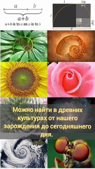 Как красивые формы делают нас счастливыми? #образование #сакральныезнания смотреть онлайн
