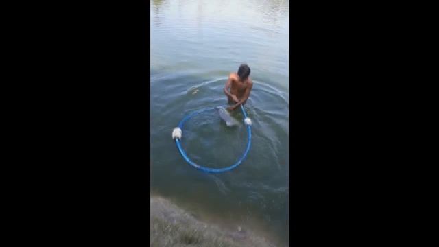 Трофейная озёрная рыбалка на Chalong Fishing Park, Таиланд. смотреть онлайн