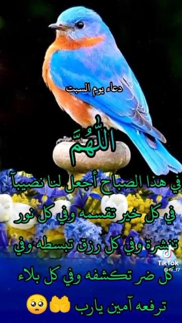 #دعاء🤲يوم السبت ❤🌹 смотреть онлайн