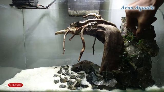 Aquascape #7 Low Budget Natural Aquascaping | Batu Sungai | No co2 | Tanpa Co2 смотреть онлайн