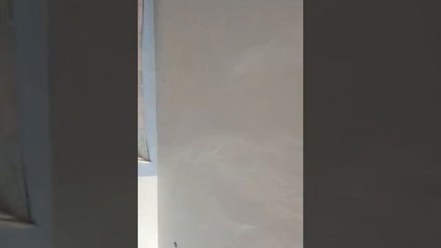 Casi no me beo. смотреть онлайн