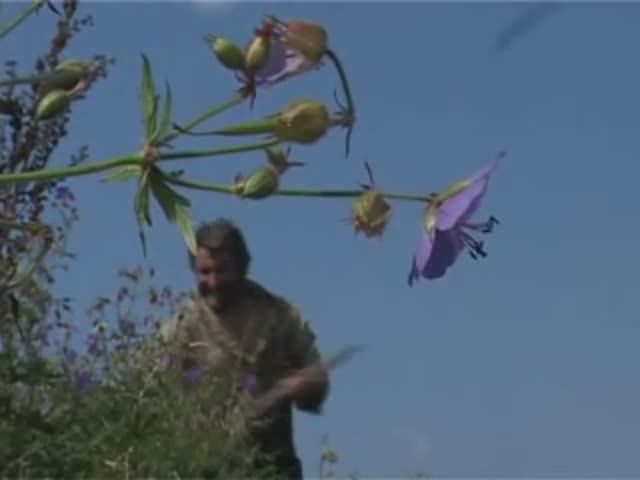 Счастливые люди. Лето. 02 смотреть онлайн