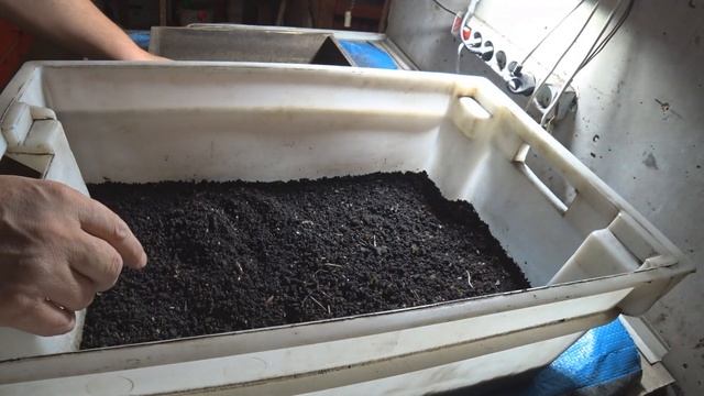 Формирование маточника. Мини селекция. смотреть онлайн