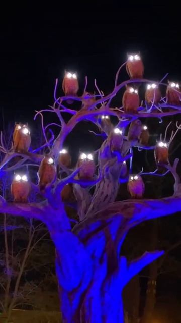 Совы кричат... смотреть онлайн