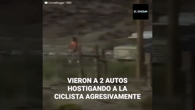 La macabra polaroid en el misterio de Tara Calico смотреть онлайн