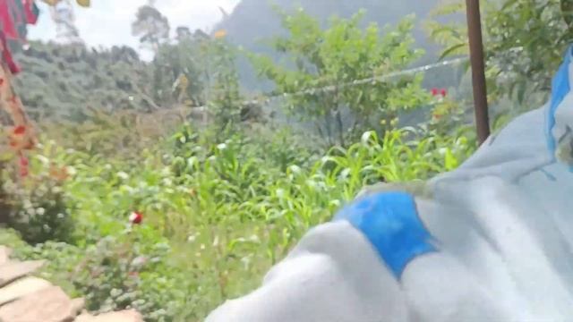 नन्द के पतिदेव चले गए ड्यूटी Anita bagiyal vlogs pahadi Life style vlogs Uttarakhand смотреть онлайн