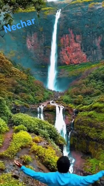 beautiful nechar 🌳🌍 #love #bucketlist #tamil #waterfall #nechar #nature #travel смотреть онлайн
