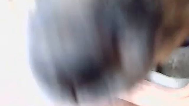calma scartaita.mp4 смотреть онлайн