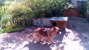 Как починить лодочный прицеп. Перетяжка ложементов.