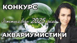 Конкурс аквариумистики Эстетика воды Ленивый травник 2025 зима