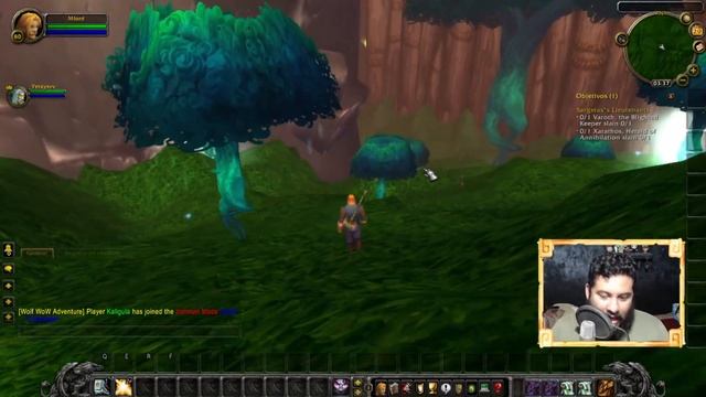 Probando Un Server Privado | Wolf Adventure WOW | World Of Warcraft Gameplay Español смотреть онлайн