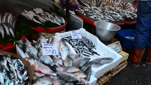 Стамбул. Рыбный рынок у Галатского моста смотреть онлайн