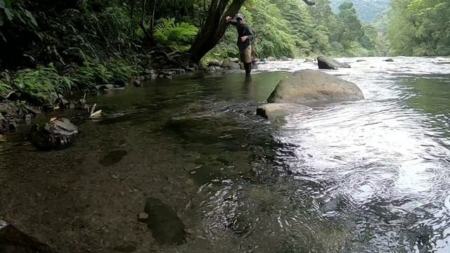 2019.05.XX Abu Garcia ambassadeur Morrum ZX-3601 MAG SHADOW-38ul 3’8”【山溪源流】陳小Chi路亞日誌 смотреть онлайн