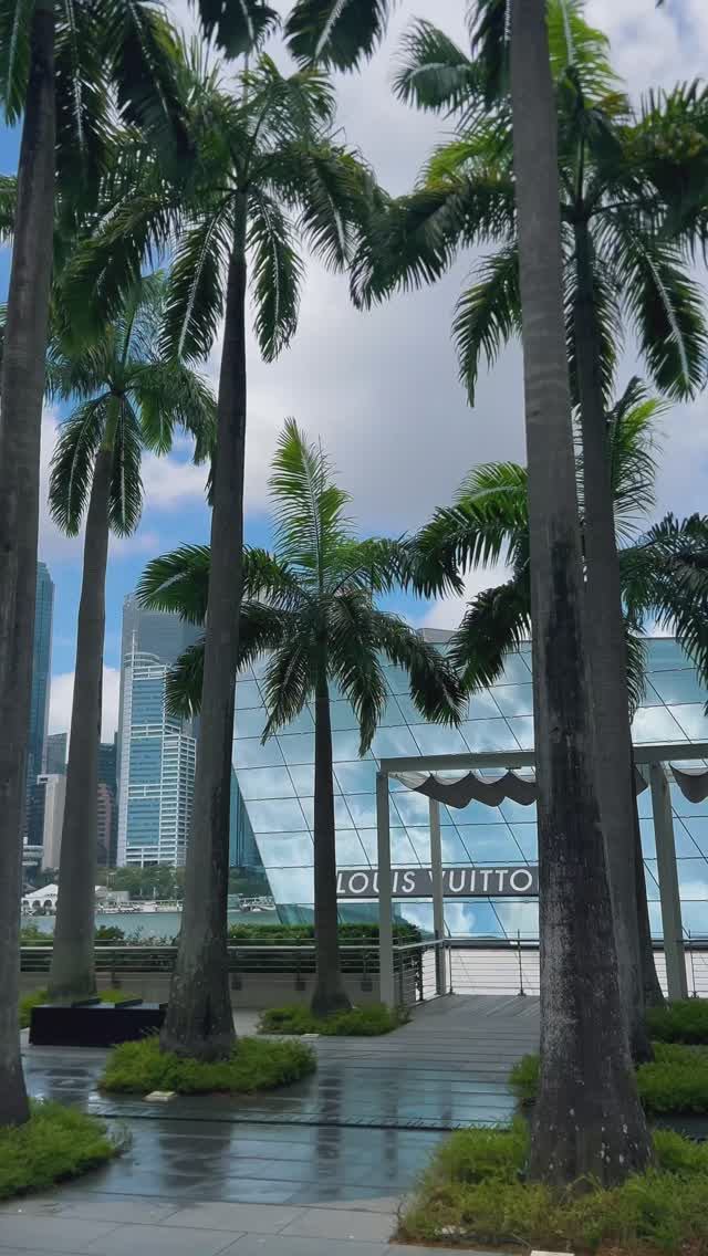 Почему в Сингапуре ЗАПРЕЩЕНА жвачка? смотреть онлайн