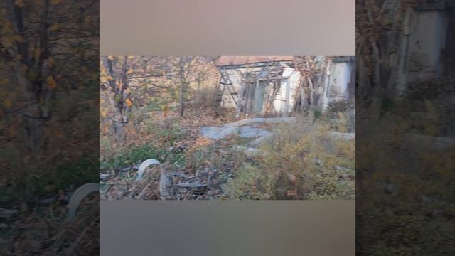 Купили новый сад/дачу 2 в 1(10сот) Будем строить, делать, создавать райский уголок!☀✨☀