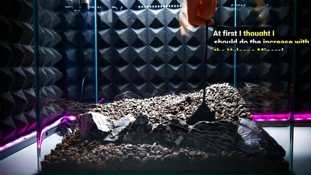 Aquascaping | 4K | Planted Tank | Part 1 | Hardscape | Layout | Nanocube | 60l смотреть онлайн