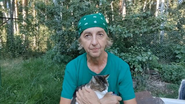 СТАБИЛЬНЫЙ БИЗНЕС НА КОЗАХ. ВАРИТЬ АДЫГЕЙСКИЙ СЫР, который ВСЕГДА ПОЛУЧАЕТСЯ смотреть онлайн