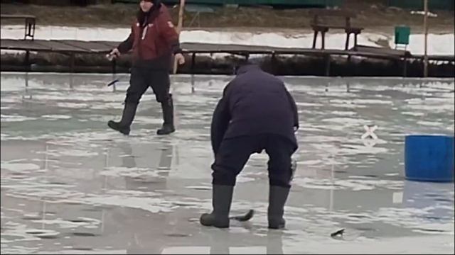 27-01-2025 смотреть онлайн