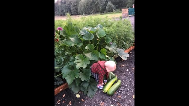 Грейси , несколько моментов жизни человечка 15 -16 mесяцев от роду … смотреть онлайн