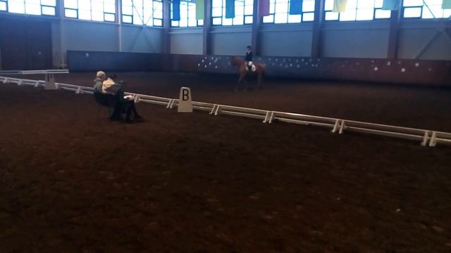 Маша и Цитата (двоеборье) смотреть онлайн