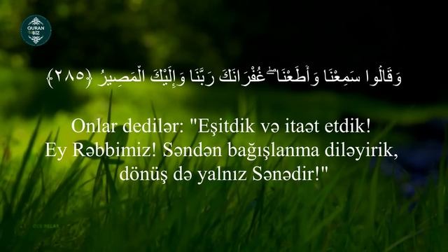 7 Fatihə 7 Ayətəl Kürsü 7 Əmənərasulu 7 Kəfirin 7 İxlas 7 Fələq 7 Nəs || Ruqyə | Quran müalicə смотреть онлайн