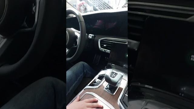 обзор автомобиля Hongqi E-HS9