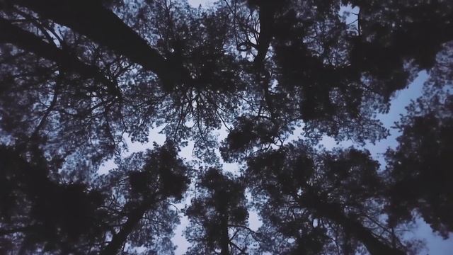 Sere nere (Tiziano Ferro) Ines cover смотреть онлайн