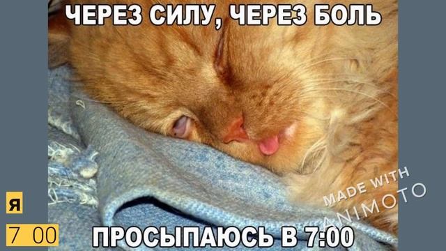 Тарас видео 2 смотреть онлайн