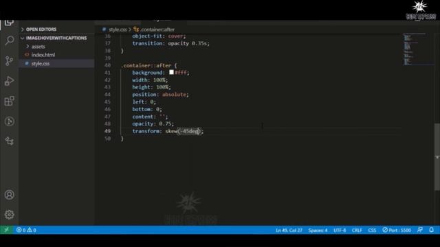 Images Hover Caption With HTML And CSS | Hover With Caption | CodeExpress смотреть онлайн