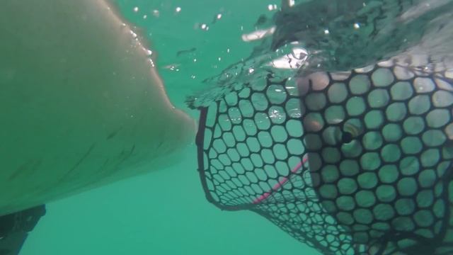 Peron 2014 - Smokin смотреть онлайн