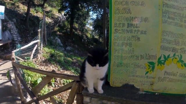 Hiking the Path of the Gods (Sentiero degli Dei), Amalfi Coast, Italy - January 2022 смотреть онлайн