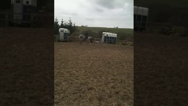 Bella смотреть онлайн