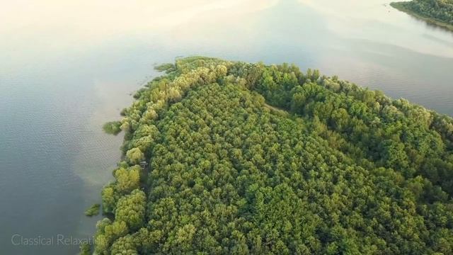 Tchaikovsky - Waltz of the Flowers.mp4 смотреть онлайн