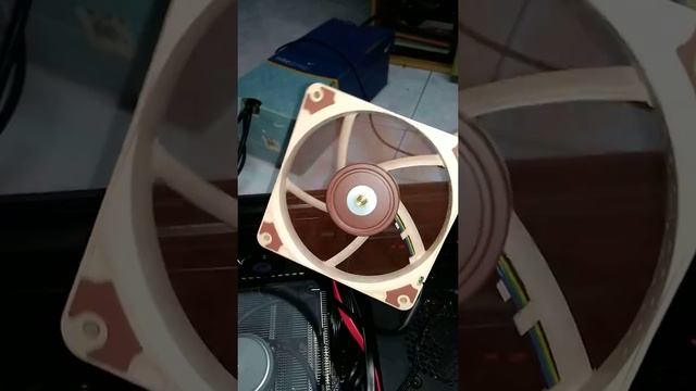 Noctua Fan Noise (3) смотреть онлайн