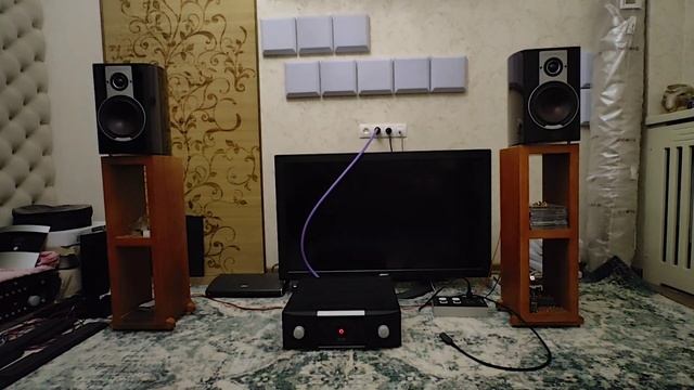 Dali Epicon 2 & Mark Levinson 5805 🥲