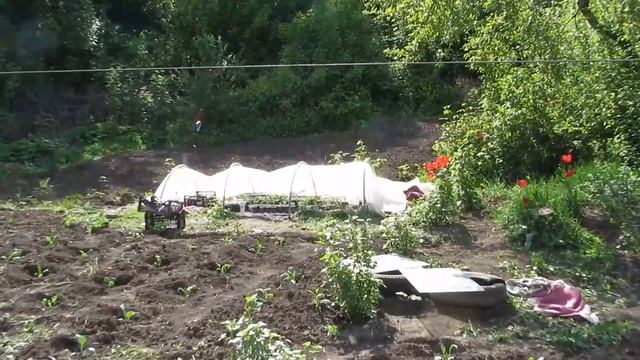 первый улей. Рута 230 мм на 10 рамок. Харьков, Харьковская область. Kharkiv. Kharkov. смотреть онлайн