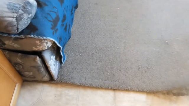 DIY RV Renovation | Dinette Removal And Peel And Stick Flooring Install