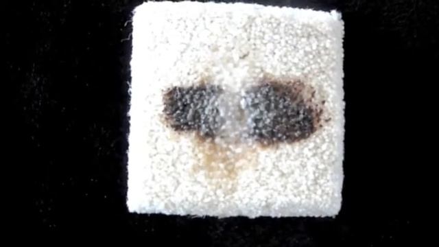 Organic Spot Remover Chocolate Spot Removed from Carpet Video Demonstration Carpet Spotter смотреть онлайн