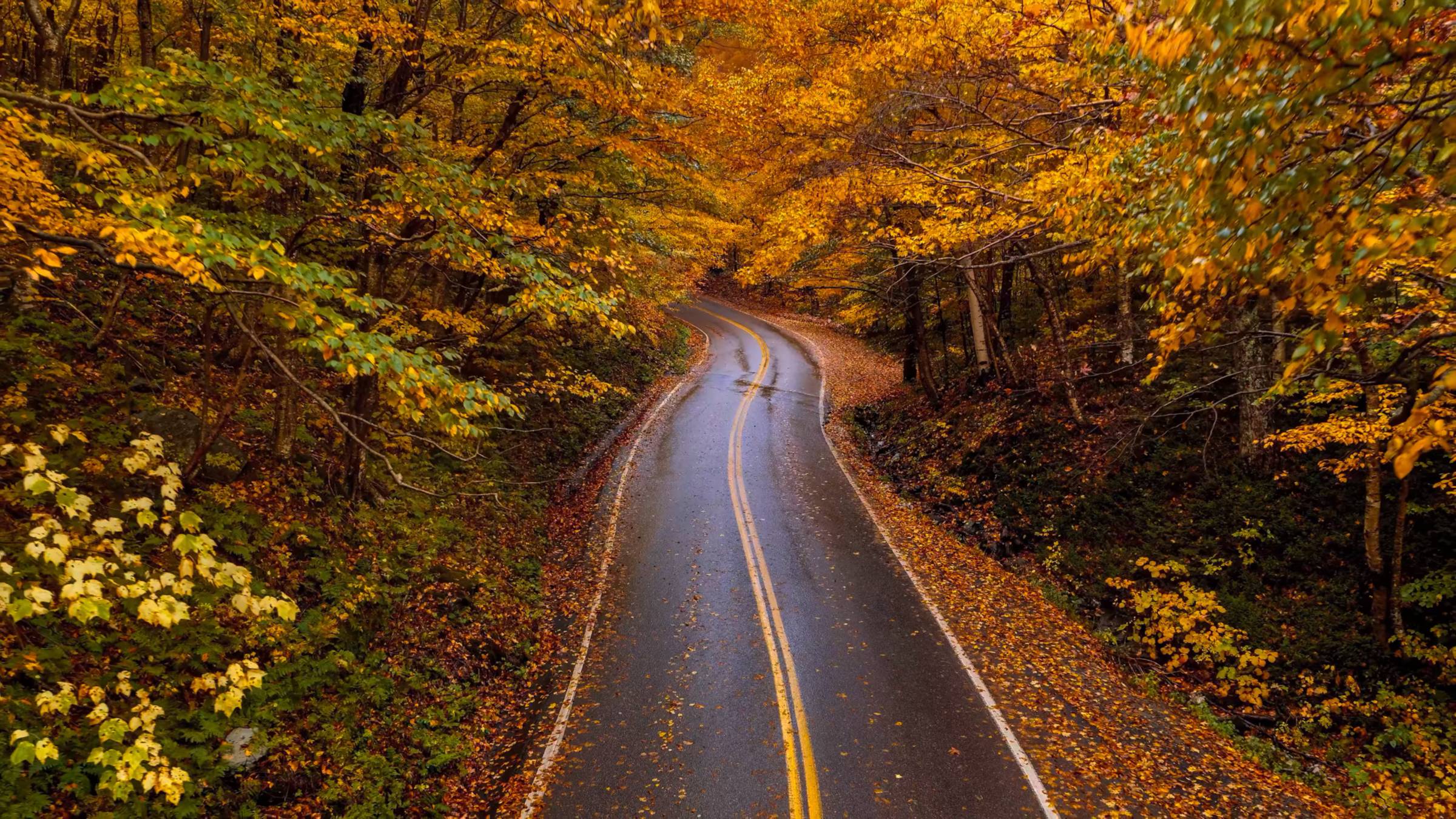 Удивительные места 🌍 Лучшее из Dolby Vision 4K HDR 60 FPS | #шариклайф смотреть онлайн