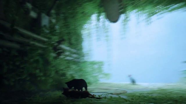 Прохождение Stray, вступление. Видео: 1.