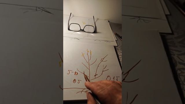 Обрезка груши прямом эфире! смотреть онлайн