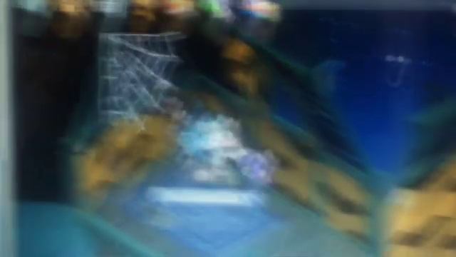 "Black Widow (feat. Rita Ora) [Vice Remix]" Fan Video смотреть онлайн