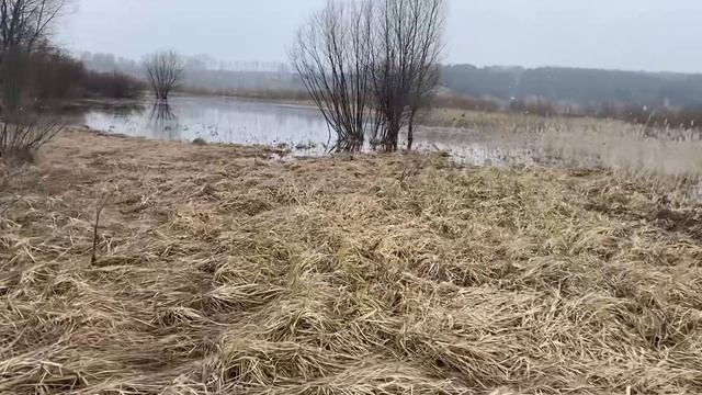 ГОТОВИМСЯ К ЗАКРЫТИЮ ОХОТЫ НА СЕЛЕЗНЯ С ПОДСАДНОЙ, НОВОЕ МЕСТО И НОВЫЙ СКРАДОК! смотреть онлайн
