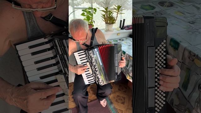 Weltmeister Cordal, 3/4 accordion, 80 Bass, 34 key, 3 voice, 5+3 register, New straps, ON SALE смотреть онлайн