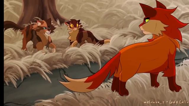 Hawkfrost MAP || Warriors cats Коты воители МАП | BlacK FaLcoN | смотреть онлайн