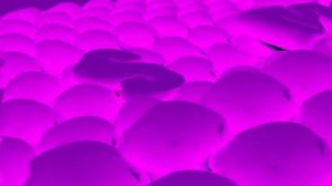 Samsung Logo Balls in 4ormulator V1-44